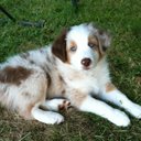 Jacki Williams - @dunhoss - Twitter