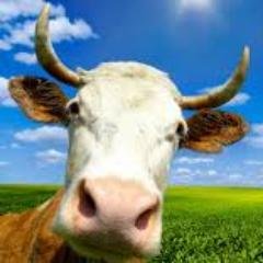 Beëdigd onafhankelijk financieel specialist voor ZZP, MKB & particulier. Vader 5 kids, conceptdenker, piloot, 911, ondernemer, direct😎