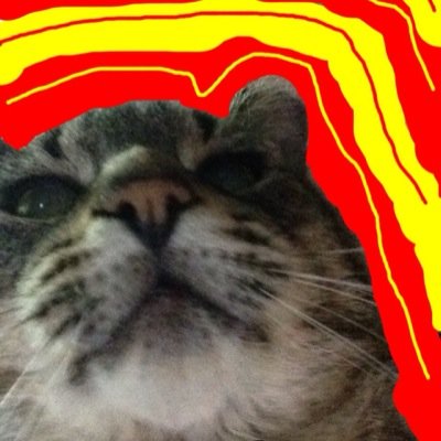 Lonely? Call: 1-800-CATZ-4LONRZ