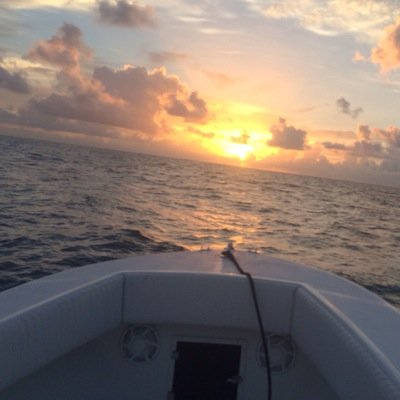 Carlos Rodriguez Profile