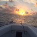 Carlos Rodriguez (@captcarlos71) Twitter profile photo Carlos Rodriguez (@captcarlos71) Twitter profile photo