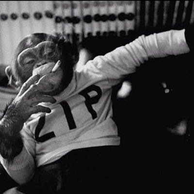 arlo201's profile picture. Dont eat the yellow snow