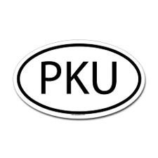 PKULYFE's profile picture. 