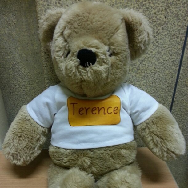 Support for Learning Teacher at Westquarter Primary School in Scotland.
