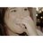 lolaserrano_11's profile image