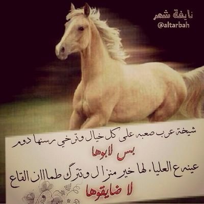 لاتشتكي للناس لاضاق صدرك . الناس ماتملك مسره ولا ياس الناس مثلك حالهم مثل حالــك. والكل من مر الليالي شرب كأس !!الخاص ممنوع هذا حسابي الثاني
