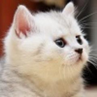 南条さやか