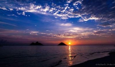 pnSurfMasters's profile picture. 