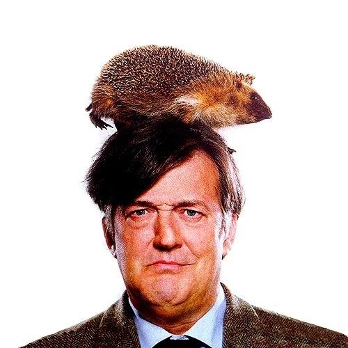 BenjaminAdams91's profile picture. 