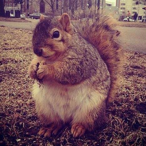 hpat2010's profile picture. 