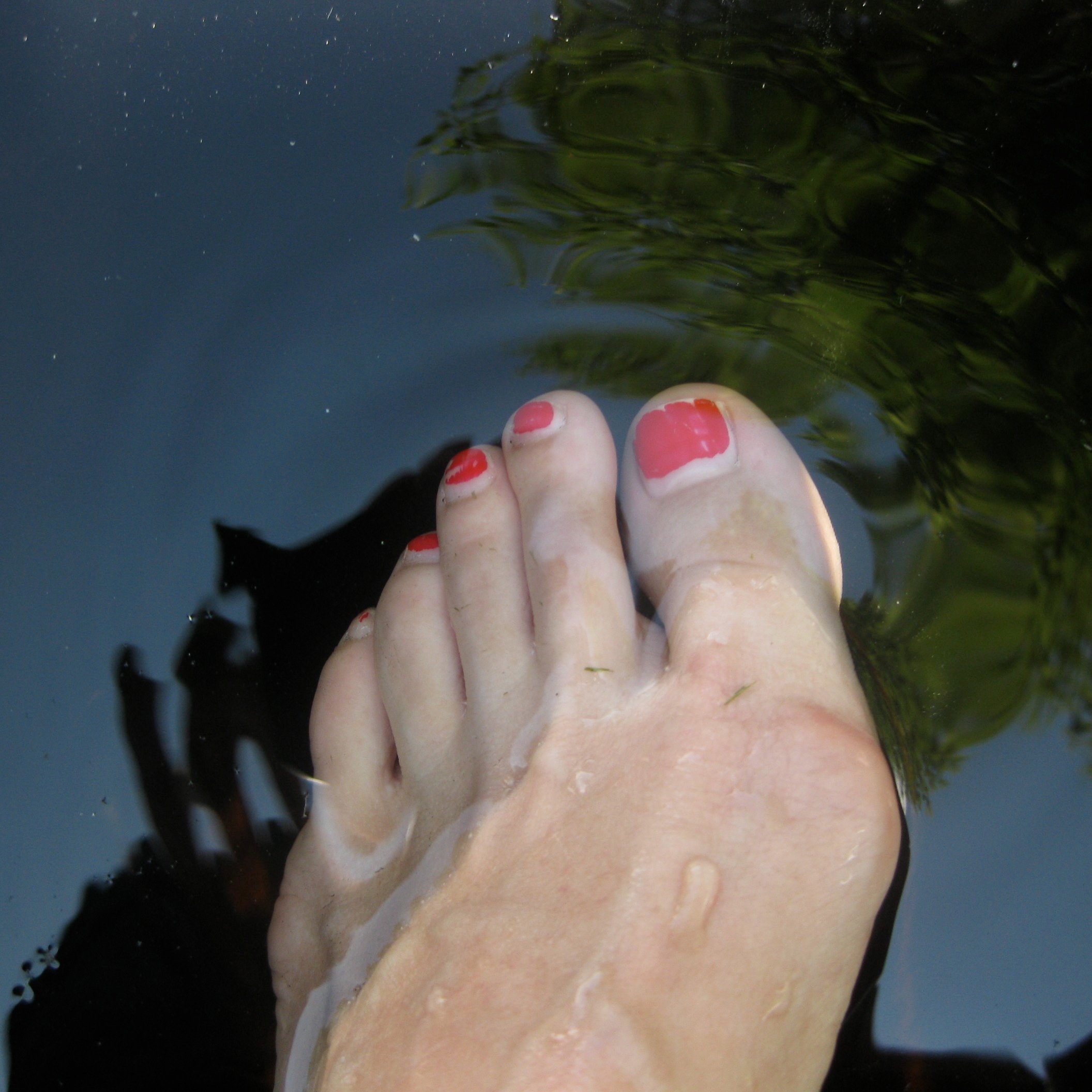 Pericarpe's profile picture. Fredsälskande kristen psykolog/psykoterapeut - en Orwellsk framtid: nej; yttrandefrihet: ja, alltid. Delade inlägg speglar inte nödvändigtvis egna åsikter.