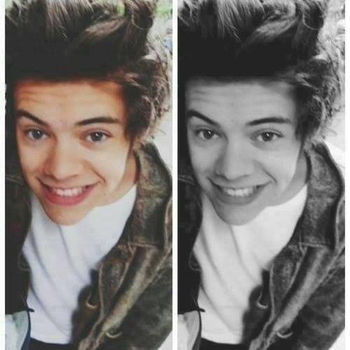 NearlyHarryx's profile picture. One Directions life!! sadly 0/5.