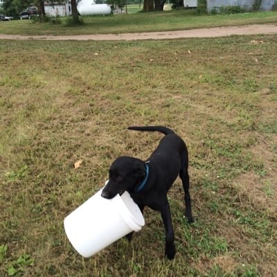 ramair442's profile picture. 