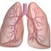 IPF Today (@todayipf) Twitter profile photo IPF Today (@todayipf) Twitter profile photo