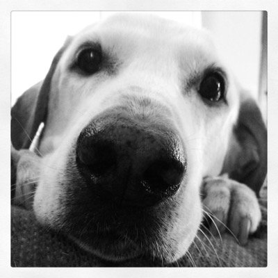 alexphillips121's profile picture. I'm 22. I have pride for America. I'm proud to be a Conservative Tea Party Patriot!