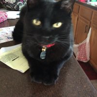 Wendy Voglmayr (@voglmayr) 's Twitter Profile