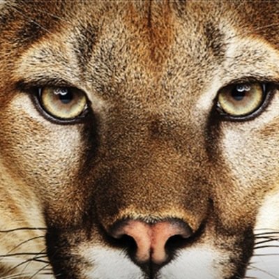 mommy2tbt's profile picture. 