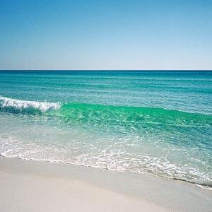 Exclusive Invitation Only Business Networking Group | Professionals | Niceville | Destin