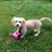 Tricia_Lehecka's profile image