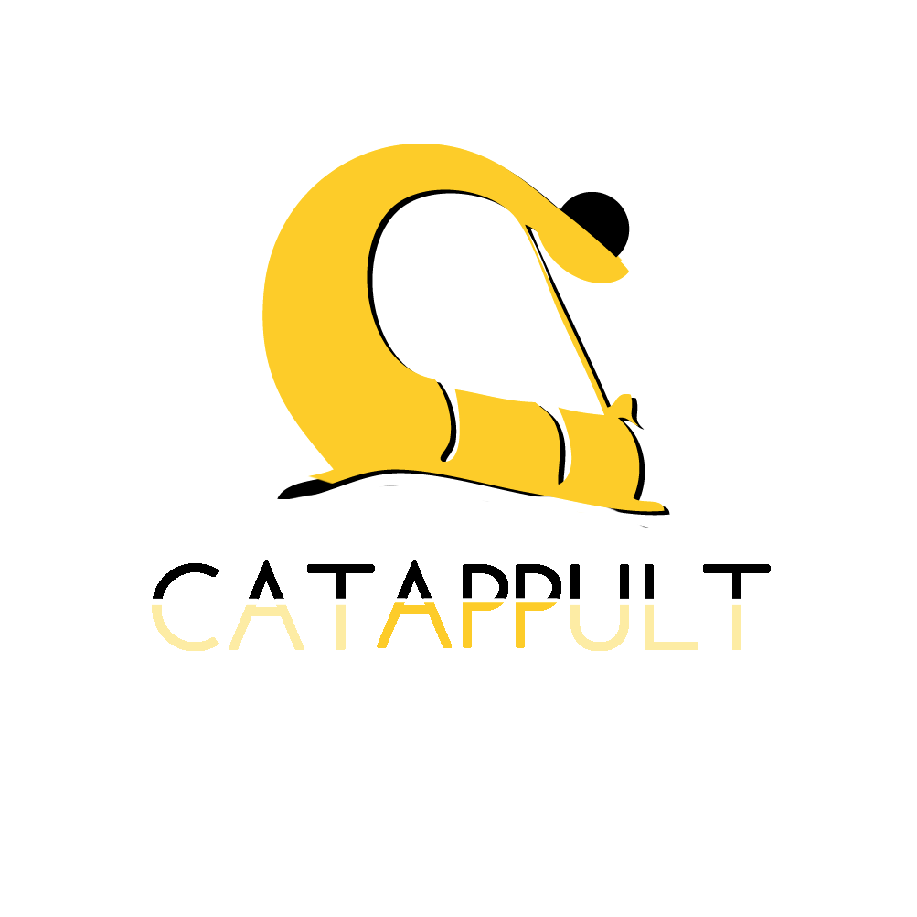 CatappultApps's profile picture. We are small indie mobile apps studio from Croatia. Creating beautiful, modern and addicting games  & apps is our passion.