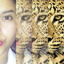 Andrea Arevalo (@AjpArevalo) Twitter