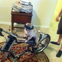 Becky Lowery - @lowery_becky - Twitter