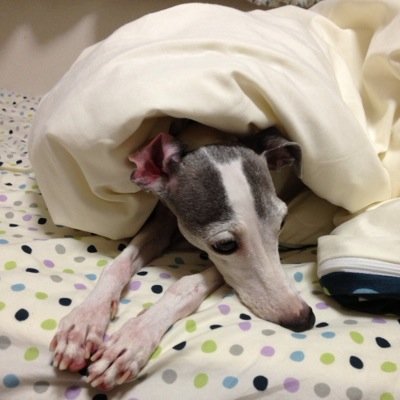 0509Maron's profile picture. まつげ屋さん