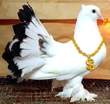 السلام