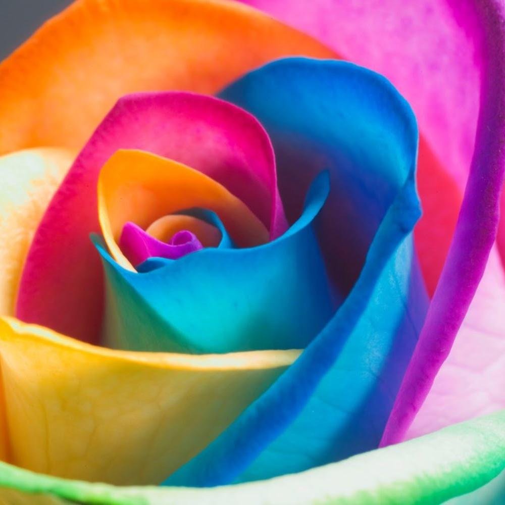 I am a poet and am a sensitive person. I like friendship with nice people