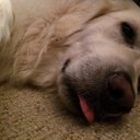 Johnny Groves - @Johnnygroves - Twitter