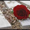 محمد بن محسن (@0562235077) Twitter