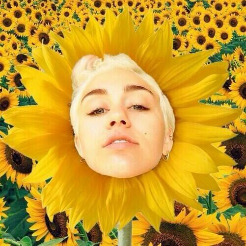 mileyssextoy's profile picture. Miley Ray Cyrus & Marshall Mathers ️