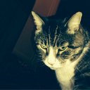 Jenny Harrison - @JennyHarrison15 - Twitter