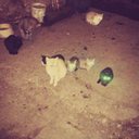 Eugene Dodd - @DoddEugene - Twitter