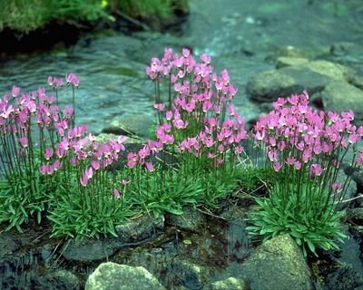 ash198166's profile picture. 