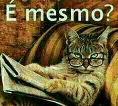 Ironicofalando's profile picture. Amor aqui não existe ✝