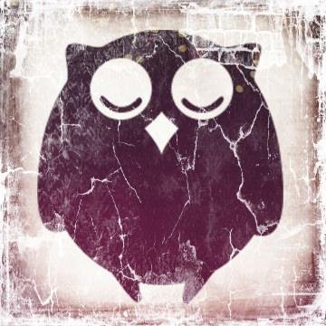 I AM Marvelous Owl