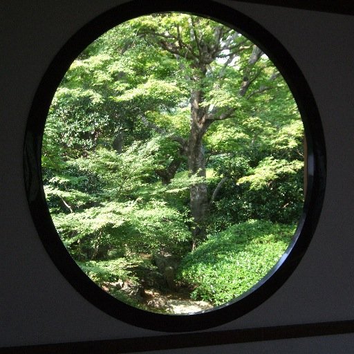 名前通り、そうだ京都行こう！！
