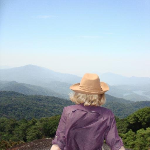 Studied environmental science, also interested in history, art, fiction, technology. Buddhist. She/her. Tweets/views are my own.