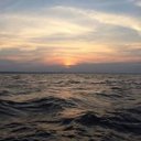 Roxanne Thomas - @roxanne_thomas5 - Twitter