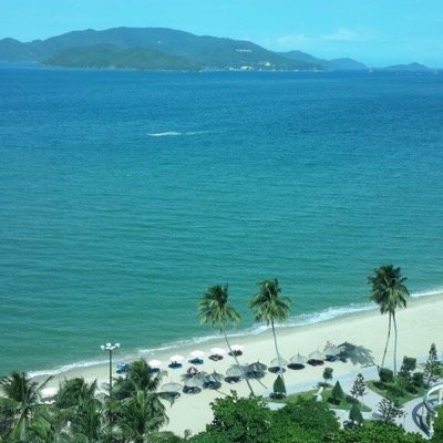 longgthd's profile picture. 