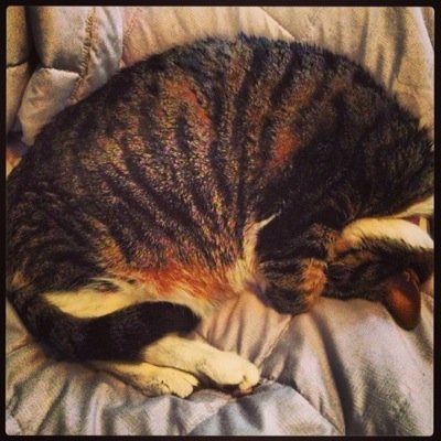 ContentCritique's profile picture. Survived 30 years in the TV news trenches. Doing my best to pull back the curtain. Bad content sucks on any platform.