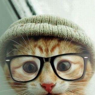 Checonimo's profile picture. un friskis