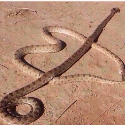 Mhamad128581946's profile picture. 