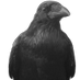 das corax (@coraxaroc) Twitter profile photo das corax (@coraxaroc) Twitter profile photo