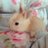 Mike_Sorranut's profile image
