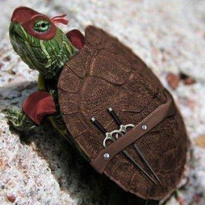 Guatemalense, Perito Contador y Profesor de Contabilidad, Soñador, Esposo y Padre, Me gusta el ciclismo y el fútbol.