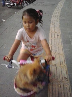 kadekanie_758's profile picture. 'kesabaran adalah senjata paling ampuh untk menghadapi smua cobaan..