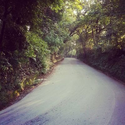 passionate about reading & photography. views are officialy mine (personal)