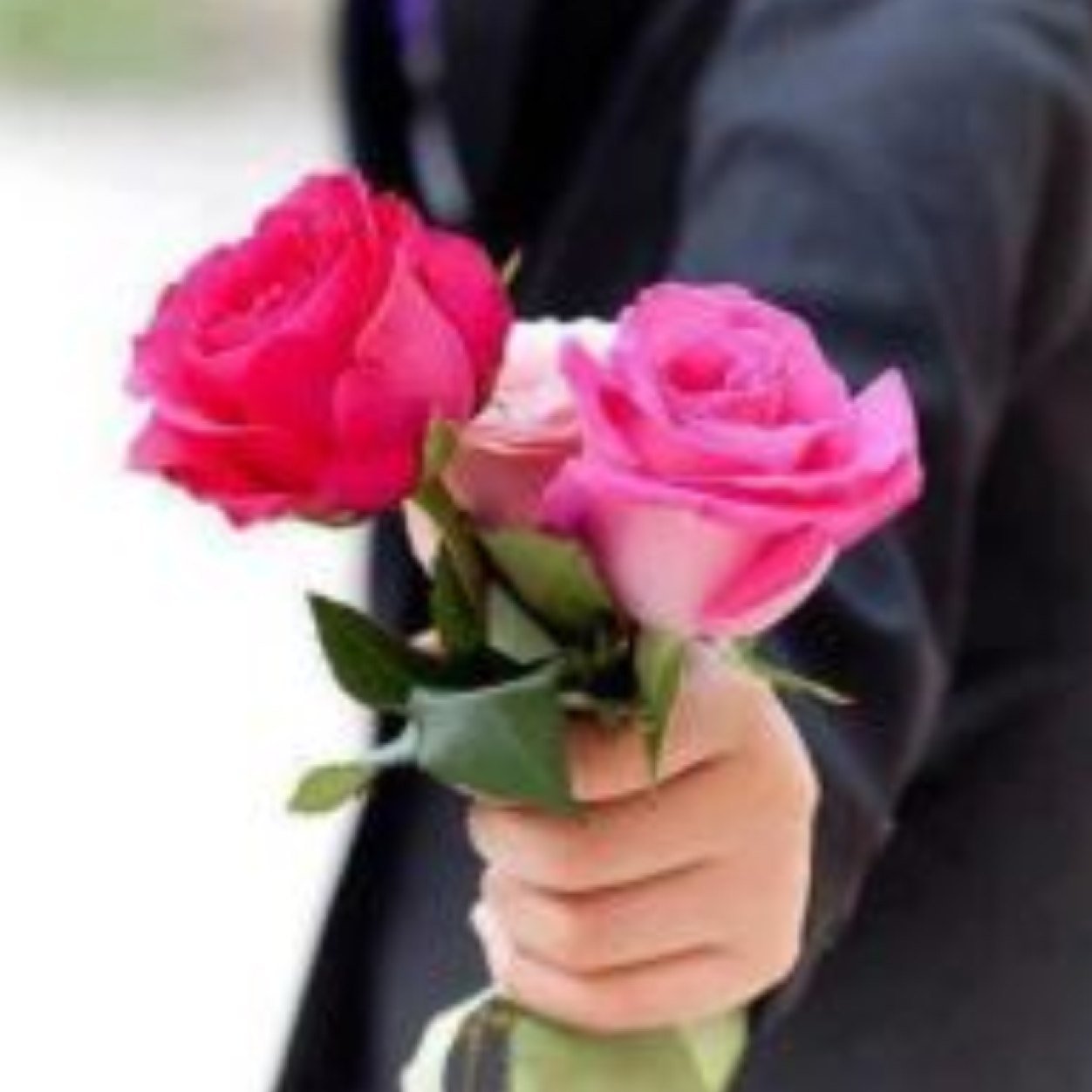 الحياة رحلة - الخاص مهمل